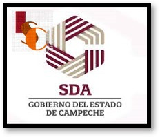Campeche amplía padrón de beneficiarios agrícolas a 34 mil con respaldo de la Presidenta de México. 